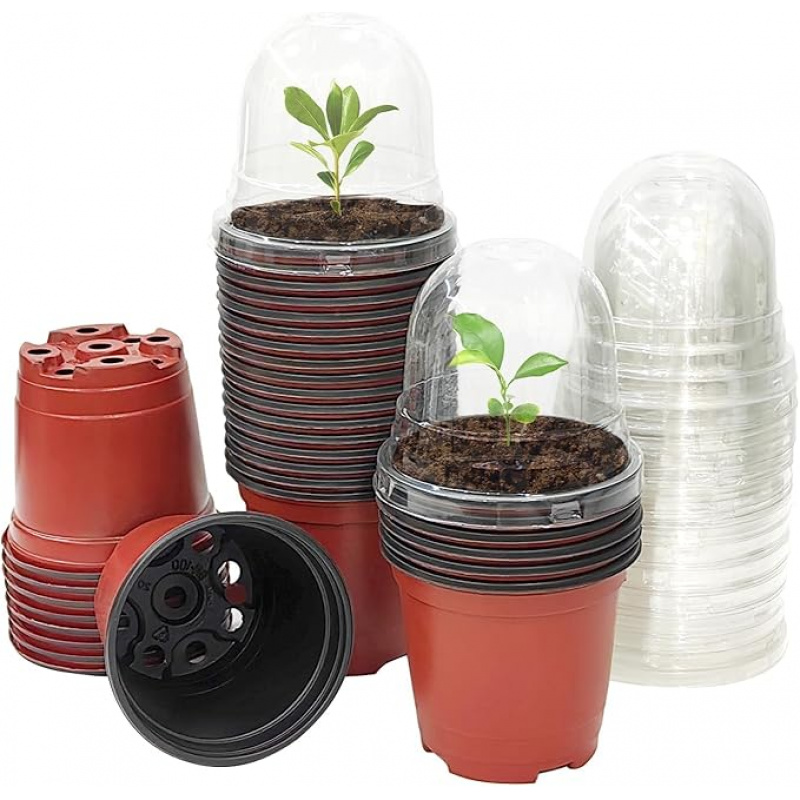 Vaso per vivaio per piante con - Baby Nursery Plants recensione e prezzo